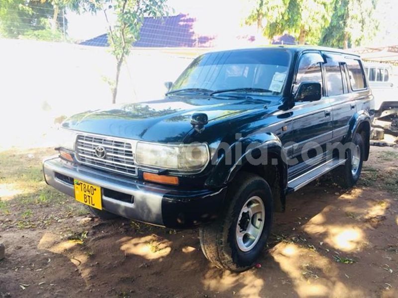 Big with watermark 54278684 190389025266275 3590968550698778624 n