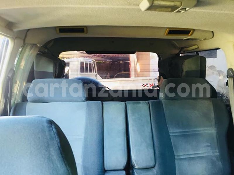 Big with watermark 54257166 190389125266265 8136914330814775296 n