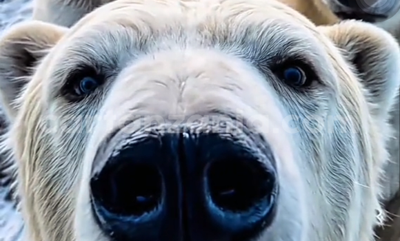 Buy Used BMW 2er Active Tourer Black Car in Dar es Salaam in Dar es Salaam Buy Used BMW 2er Active Tourer Black Car in Dar es Salaam in Dar es Salaam