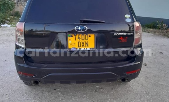 Buy Used Subaru Forester Black Car in Dar es Salaam in Dar es Salaam Buy Used Subaru Forester Black Car in Dar es Salaam in Dar es Salaam