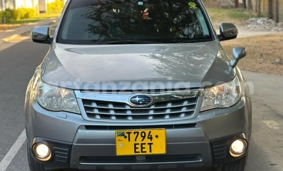 Buy Used Subaru Forester Silver Car in Dar es Salaam in Dar es Salaam