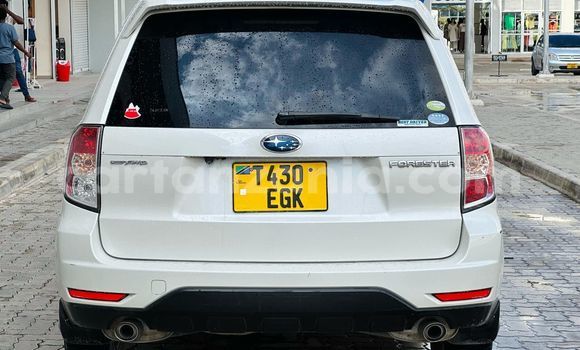 Buy Used Subaru Forester White Car in Dar es Salaam in Dar es Salaam