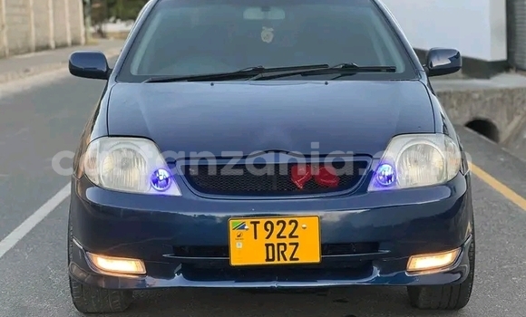 Buy Used Toyota Runx Black Car in Biharamulo in Kagera Buy Used Toyota Runx Black Car in Biharamulo in Kagera