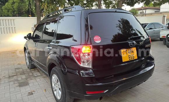 Buy Used Subaru Forester Black Car in Dar es Salaam in Dar es Salaam Buy Used Subaru Forester Black Car in Dar es Salaam in Dar es Salaam