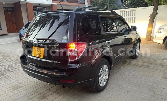 Buy Used Subaru Forester Black Car in Dar es Salaam in Dar es Salaam Buy Used Subaru Forester Black Car in Dar es Salaam in Dar es Salaam