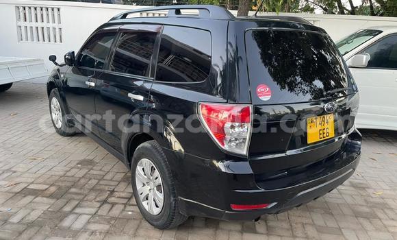 Buy Used Subaru Forester Black Car in Dar es Salaam in Dar es Salaam Buy Used Subaru Forester Black Car in Dar es Salaam in Dar es Salaam