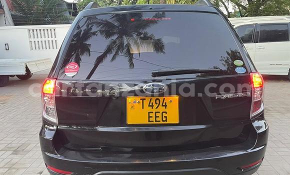 Buy Used Subaru Forester Black Car in Dar es Salaam in Dar es Salaam Buy Used Subaru Forester Black Car in Dar es Salaam in Dar es Salaam