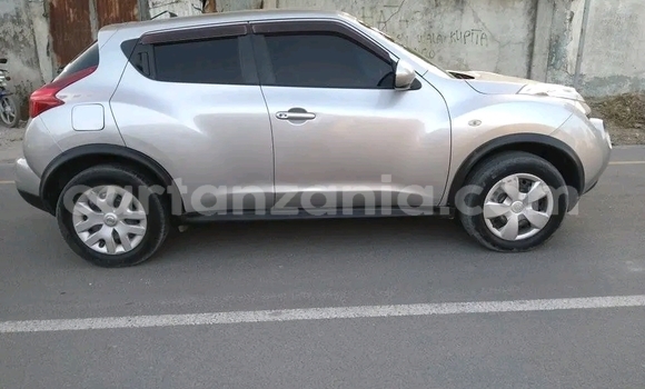 Buy Used Nissan Juke Silver Car in Dar es Salaam in Dar es Salaam Buy Used Nissan Juke Silver Car in Dar es Salaam in Dar es Salaam