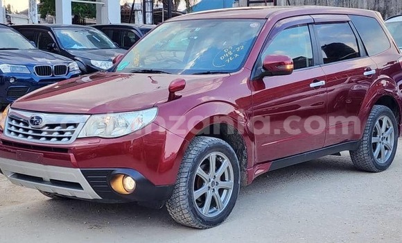 Buy Import Subaru Forester Red Car in Dar es Salaam in Dar es Salaam Buy Import Subaru Forester Red Car in Dar es Salaam in Dar es Salaam