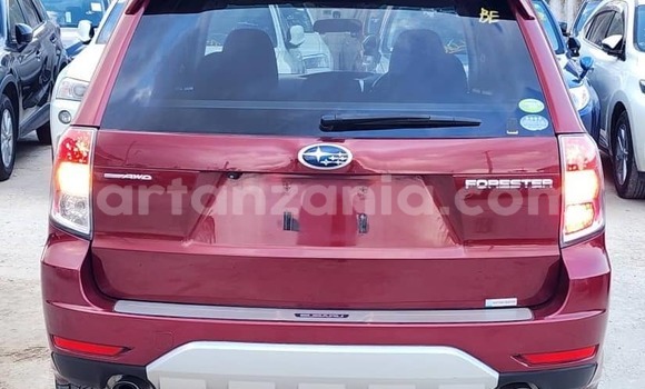 Buy Import Subaru Forester Red Car in Dar es Salaam in Dar es Salaam Buy Import Subaru Forester Red Car in Dar es Salaam in Dar es Salaam