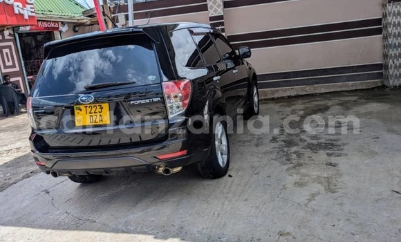 Buy Used Subaru Forester Black Car in Dar es Salaam in Dar es Salaam Buy Used Subaru Forester Black Car in Dar es Salaam in Dar es Salaam