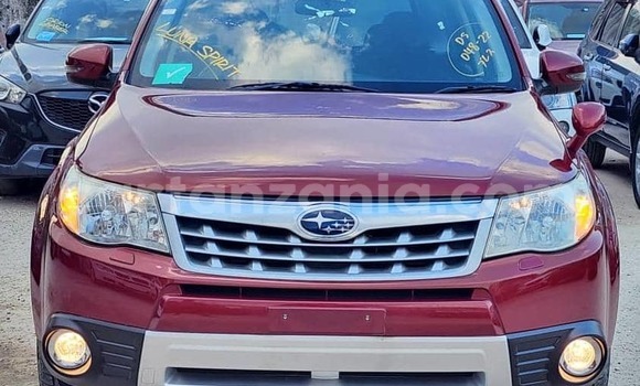 Buy Import Subaru Forester Red Car in Dar es Salaam in Dar es Salaam Buy Import Subaru Forester Red Car in Dar es Salaam in Dar es Salaam