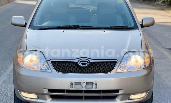 Buy Used Toyota Runx Other Car in Dar es Salaam in Dar es Salaam