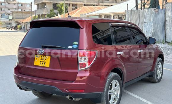 Buy Used Subaru Forester Red Car in Dar es Salaam in Dar es Salaam
