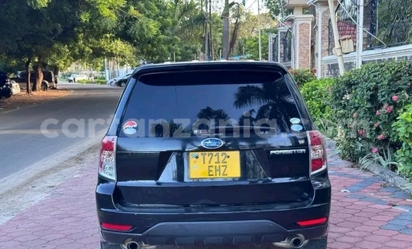 Buy Used Subaru Forester Black Car in Bariadi in Simiyu
