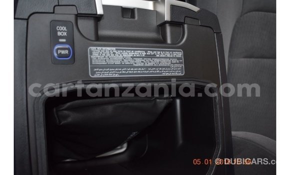 Buy Import Toyota Land Cruiser Other Car in Import - Dubai in Arusha Buy Import Toyota Land Cruiser Other Car in Import - Dubai in Arusha