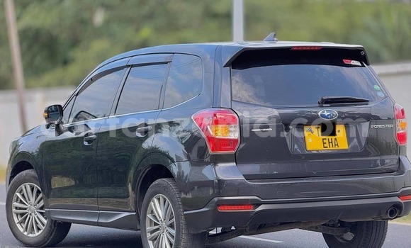 Nunua Ilio tumika Subaru Forester Nyingine Gari ndani ya Dar es Salaam nchini Dar es Salaam Nunua Ilio tumika Subaru Forester Nyingine Gari ndani ya Dar es Salaam nchini Dar es Salaam