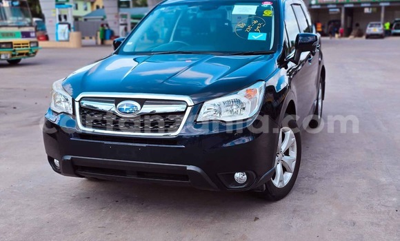 Buy Import Subaru Forester Black Car in Dar es Salaam in Dar es Salaam Buy Import Subaru Forester Black Car in Dar es Salaam in Dar es Salaam