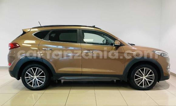 Nunua Ilio tumika Hyundai Tucson Brown Gari ndani ya Dodoma nchini Dodoma Nunua Ilio tumika Hyundai Tucson Brown Gari ndani ya Dodoma nchini Dodoma