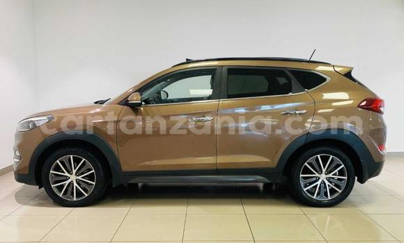 Nunua Ilio tumika Hyundai Tucson Brown Gari ndani ya Dodoma nchini Dodoma Nunua Ilio tumika Hyundai Tucson Brown Gari ndani ya Dodoma nchini Dodoma