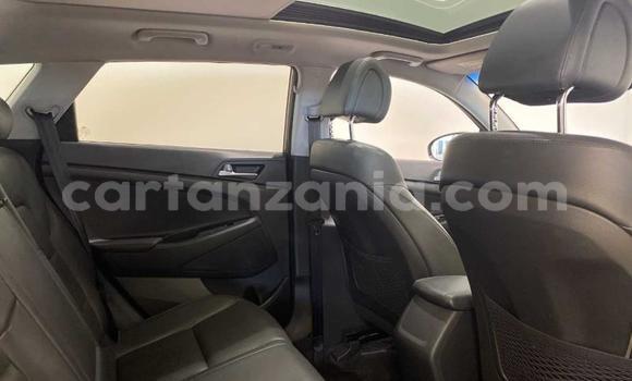 Nunua Ilio tumika Hyundai Tucson Brown Gari ndani ya Dodoma nchini Dodoma Nunua Ilio tumika Hyundai Tucson Brown Gari ndani ya Dodoma nchini Dodoma