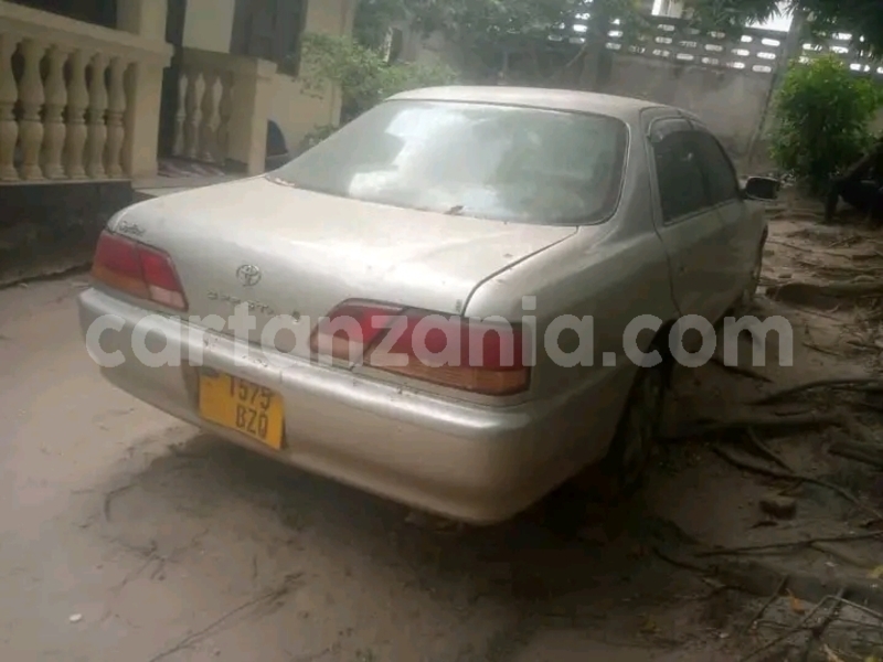 Big with watermark cizeta v16t pemba south chake chake 30164