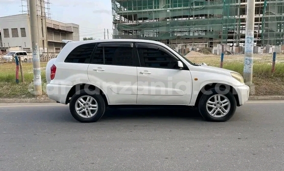Buy Used Toyota RAV4 White Car in Butiama in Mara