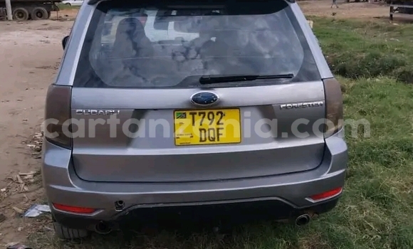 Buy Used Subaru Forester Other Car in Bahi in Dodoma Buy Used Subaru Forester Other Car in Bahi in Dodoma