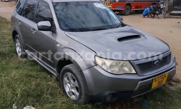 Buy Used Subaru Forester Other Car in Bahi in Dodoma Buy Used Subaru Forester Other Car in Bahi in Dodoma