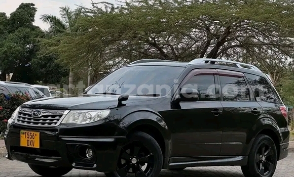 Buy Used Subaru Forester Black Car in Bukoba Rural in Kagera Buy Used Subaru Forester Black Car in Bukoba Rural in Kagera