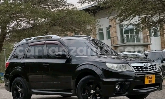 Buy Used Subaru Forester Black Car in Bukoba Rural in Kagera Buy Used Subaru Forester Black Car in Bukoba Rural in Kagera