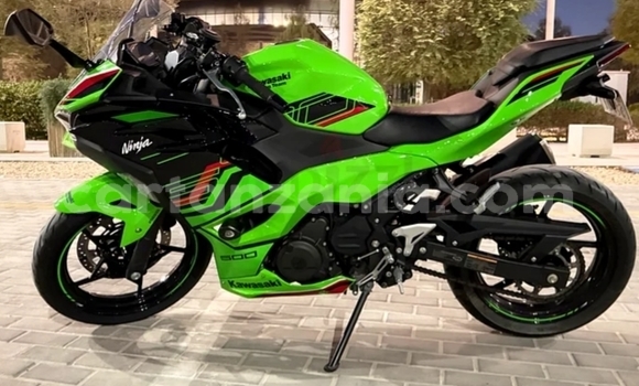 Buy Used Kawasaki Ninja Green Bike in Arusha in Arusha