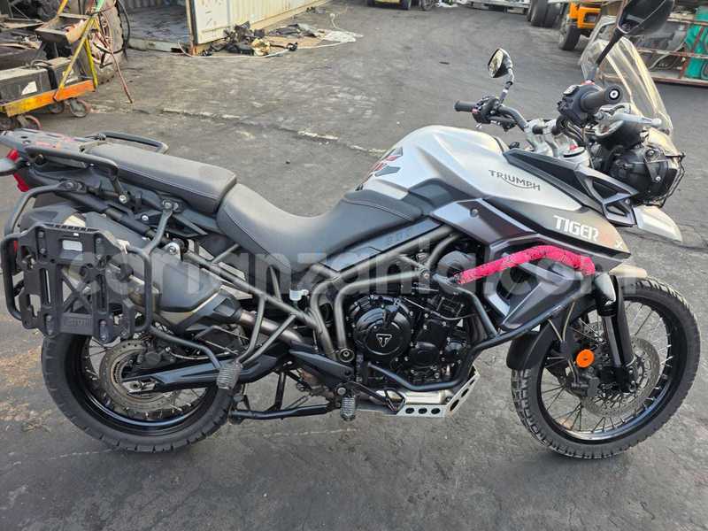 Big with watermark triumph tiger arusha arusha 30371