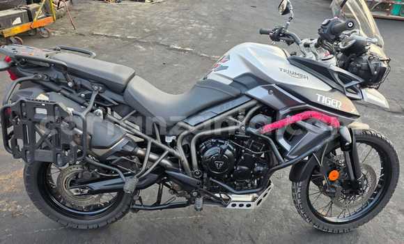 Nunua Ilio tumika Triumph Tiger Nyeusi Bike ndani ya Arusha nchini Arusha Nunua Ilio tumika Triumph Tiger Nyeusi Bike ndani ya Arusha nchini Arusha