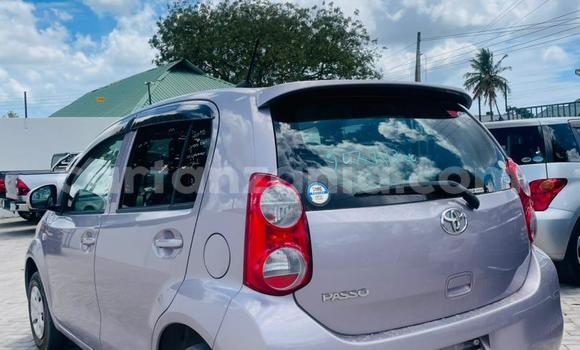 Buy New Toyota Passo Other Car in Dar es Salaam in Dar es Salaam Buy New Toyota Passo Other Car in Dar es Salaam in Dar es Salaam