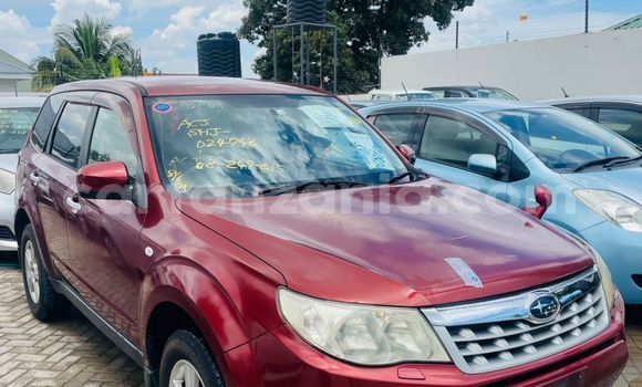 Buy New Subaru Forester Red Car in Dar es Salaam in Dar es Salaam Buy New Subaru Forester Red Car in Dar es Salaam in Dar es Salaam