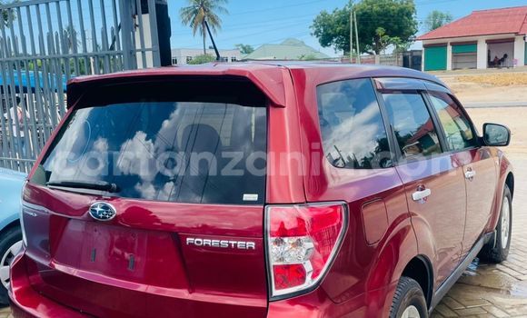 Buy New Subaru Forester Red Car in Dar es Salaam in Dar es Salaam Buy New Subaru Forester Red Car in Dar es Salaam in Dar es Salaam