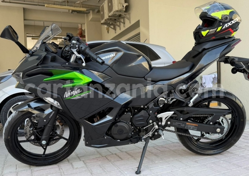Big with watermark kawasaki ninja arusha arusha 30838