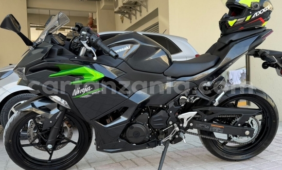 Buy Used Kawasaki Ninja Beige Bike in Arusha in Arusha Buy Used Kawasaki Ninja Beige Bike in Arusha in Arusha