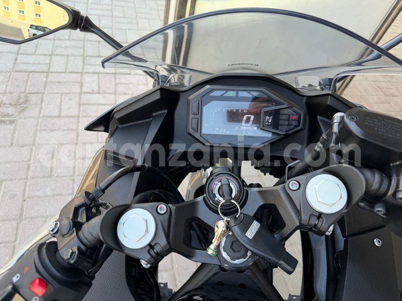 Big with watermark kawasaki ninja arusha arusha 30838