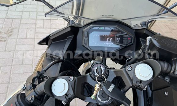 Buy Used Kawasaki Ninja Beige Bike in Arusha in Arusha Buy Used Kawasaki Ninja Beige Bike in Arusha in Arusha