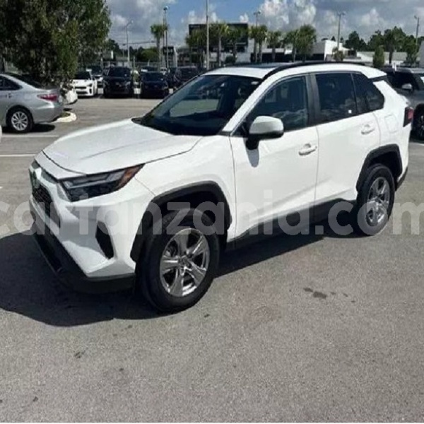 Big with watermark toyota rav4 dodoma dodoma 30895