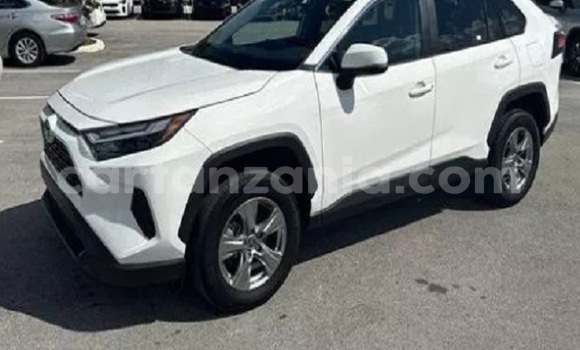 Buy Used Toyota RAV4 White Car in Dodoma in Dodoma