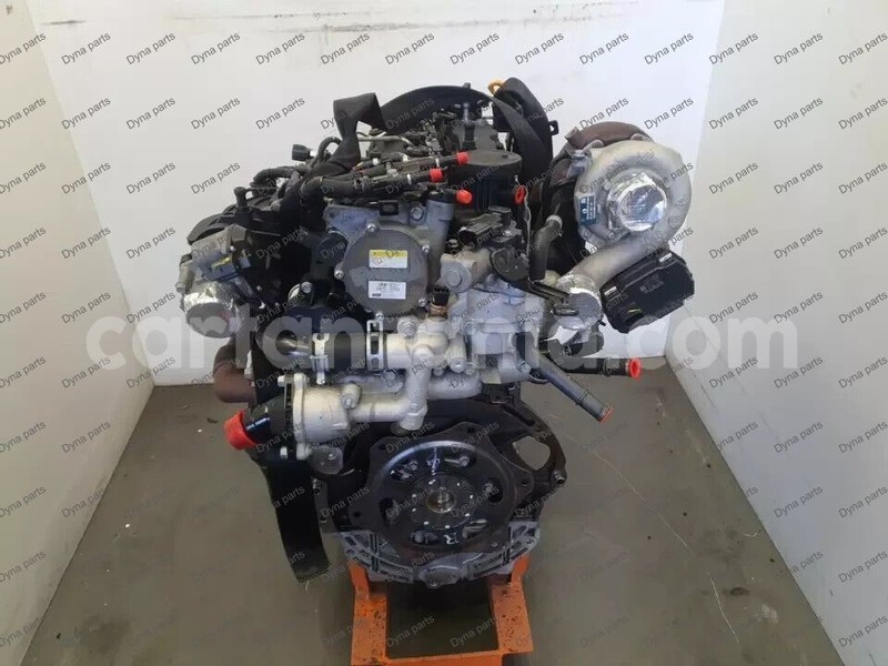 Big with watermark 6