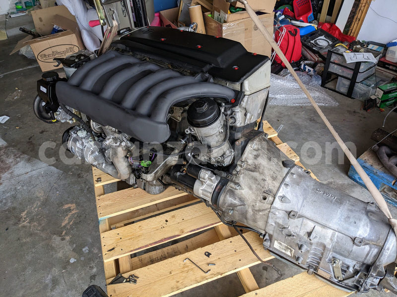 Big with watermark d