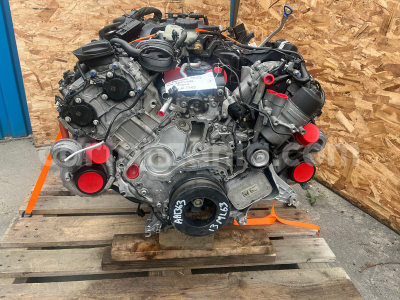 Big with watermark b