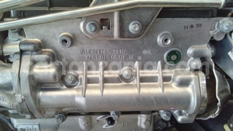 Big with watermark s l9603