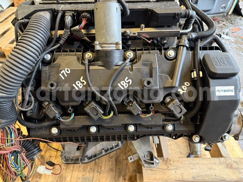 Big with watermark 8