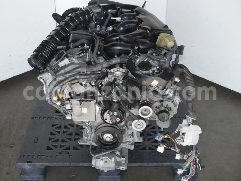 Big with watermark image a