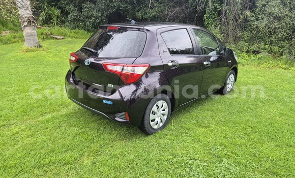 Buy Used Toyota Vitz Black Car in Dodoma in Dodoma Buy Used Toyota Vitz Black Car in Dodoma in Dodoma